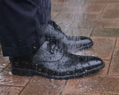 Rain Business Shoes