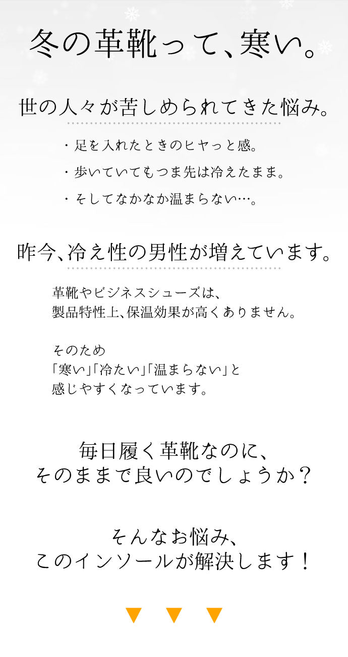 防寒ボアインソール - COLUMBUS 吸湿発熱繊維 中敷き【フリーサイズ】